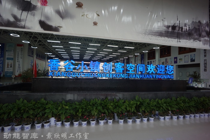 戴欣明策劃人、李藝衝導演一行調研撫州市金溪縣“一座沒有圍牆的古村落博物館”