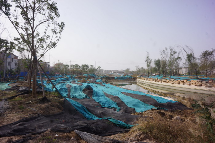 汴河古道、繁塔、宋喜信，踩到了“幾百平方米”真實宋朝的土地，我才知道我們來到了開封   動能智庫-戴欣明工作室開封戰略定位策劃考察汴河古道、汴河紀實