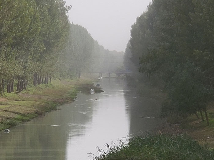 汴河古道、繁塔、宋喜信，踩到了“幾百平方米”真實宋朝的土地，我才知道我們來到了開封   動能智庫-戴欣明工作室開封戰略定位策劃考察汴河古道、汴河紀實