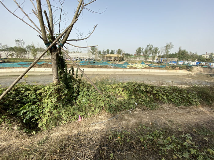 汴河古道、繁塔、宋喜信，踩到了“幾百平方米”真實宋朝的土地，我才知道我們來到了開封   動能智庫-戴欣明工作室開封戰略定位策劃考察汴河古道、汴河紀實