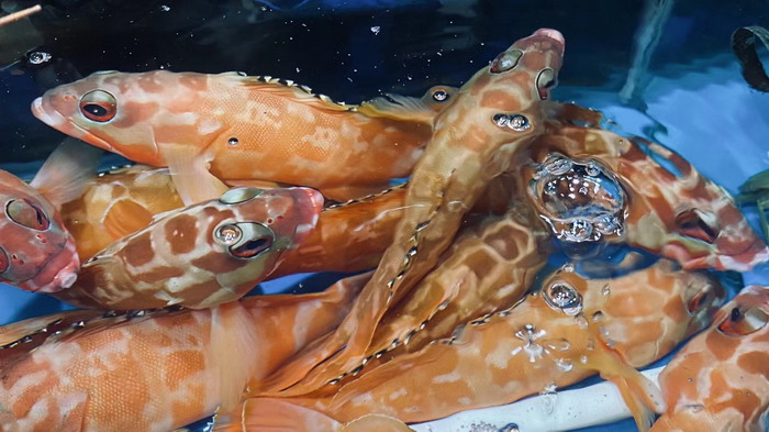 深圳農貿市場產業升級 產業電商 新媒體營銷 蔡恒兒工作室 戴欣明工作室 動能智庫 戴欣明 動能智庫鄧肯 四季康養定位策劃 商業地產 商業地產定位策劃 商業地產運營 特色小鎮戰略定位 產業園定位策劃 人文商業地產策劃 文旅小鎮策劃定位 鄉村旅遊策劃定位 商業街策劃定位 城市綜合體策劃 古鎮古城策劃定位 文旅項目規劃策劃