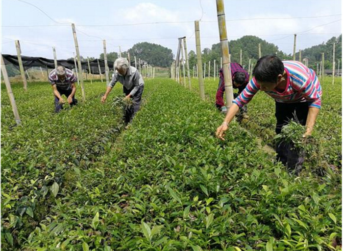 鳳凰衛視專訪戴欣明  中國城市和商業地產管理研究中心主任戴欣明  國際消費中心城市建設試點事宜 中國消費升級迭代 人文四季康養 四季康養小鎮 中國四季康養 南川城市產業升級 動能智庫考察  紅色文旅小鎮定位策劃　南川味道 南川油茶 重慶南川城市定位規劃升級 重慶南川沿塘水庫定位策劃  紅色文旅小鎮選址 四季康養產業布局  動能智庫 戴欣明工作室 蔡恒兒工作室 動能智庫孫述新 動能智庫鄧肯 動能智庫王方 動能智庫戴玥 助力鄉村振興 紅色文旅小鎮產業升級及戰略布局紅色文旅小鎮選址 四季康養產業布局  四季康養