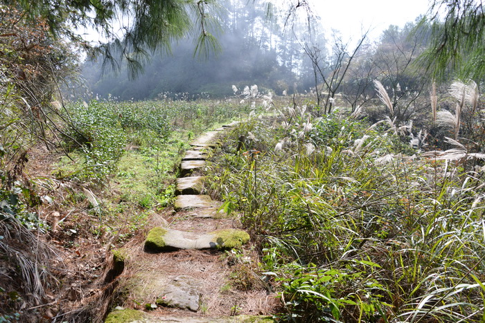鳳凰衛視專訪戴欣明  中國城市和商業地產管理研究中心主任戴欣明  國際消費中心城市建設試點事宜 中國消費升級迭代 人文四季康養 四季康養小鎮 中國四季康養 南川城市產業升級 動能智庫考察  紅色文旅小鎮定位策劃　南川味道 南川油茶 重慶南川城市定位規劃升級 重慶南川沿塘水庫定位策劃  紅色文旅小鎮選址 四季康養產業布局  動能智庫 戴欣明工作室 蔡恒兒工作室 動能智庫孫述新 動能智庫鄧肯 動能智庫王方 動能智庫戴玥 助力鄉村振興 紅色文旅小鎮產業升級及戰略布局紅色文旅小鎮選址 四季康養產業布局  四季康養