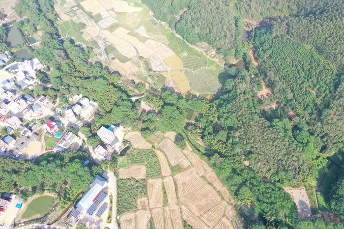 四季康養文旅小鎮羅浮山東麓紀行 動能智庫院長戴欣明 動能智庫·前海四季康養管理（深圳）有限公司董事副總經理李蓬青 動能智庫校董副院長蔡恒兒 人文四季康養 四季康養定位策劃 商業地產 商業地產定位策劃 從“單產業電商” 商業地產運營 動能智庫 戴欣明工作室 蔡恒兒工作室 董事局執行主席羅利春 特色小鎮戰略定位 產業園定位策劃 人文商業地產策劃 文旅小鎮策劃定位 鄉村旅遊策劃定位 商業街策劃定位 城市綜合體策劃 紅色文旅小鎮係統 四季康養小鎮係統 動能智庫 戴欣明工作室 蔡恒兒工作室 前海四季康養管理 古鎮古