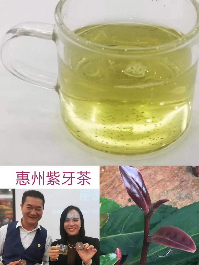 廣東財經大學粵商學院(MBA)校友會 動能智庫四季康養文旅小鎮《貴山行旅》、《上河行旅》、《歡樂上河》惠州籌建處 大健康 鄉村振興 多產業振興 高質量發展 人才振興 特色文旅小鎮 城市更新  新媒體 產業電商 四季康養產業  紅色文旅  非遺傳承 共同富裕 動能智庫 戴欣明 五邦集團  華明有 貴山行旅 上河行旅 歡樂上河 海水康養 酒肆街 四季康養特色文旅小鎮 單產業電商模式打造羅浮山茶產業 四季康養特色文旅小鎮 惠州籌建處揭牌儀 大灣區惠州的大健康產業升級  戴欣明工作室 蔡恒兒工作室  產業園定位策