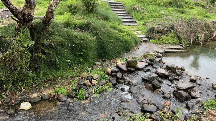 柏塘山茶酒肆合 茶產業電商模式再造 鹿湖溫泉似聖水 順縣留隍鎮 恒兒茶 恒兒的茶 酒肆街 酒肆街小酒館 酒肆街啤酒 酒世界紮啤 酒肆街精釀 四季酒肆 大健康 鄉村振興 多產業振興 高質量發展 人才振興 特色文旅小鎮 城市更新  新媒體 產業電商 四季康養產業  紅色文旅  非遺傳承 共同富裕 動能智庫 戴欣明 五邦集團  華明有 貴山行旅 上河行旅 歡樂上河 海水康養 酒肆街 四季康養特色文旅小鎮 單產業電商模式打造羅浮山茶產業 四季康養特色文旅小鎮 惠州籌建處揭牌儀 大灣區惠州的大健康產業升級  戴欣明工作室 蔡恒兒工