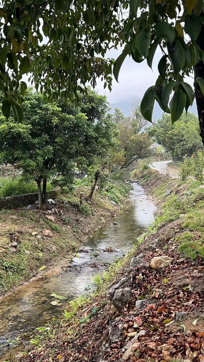 柏塘山茶酒肆合 茶產業電商模式再造 鹿湖溫泉似聖水 順縣留隍鎮 恒兒茶 恒兒的茶 酒肆街 酒肆街小酒館 酒肆街啤酒 酒世界紮啤 酒肆街精釀 四季酒肆 大健康 鄉村振興 多產業振興 高質量發展 人才振興 特色文旅小鎮 城市更新  新媒體 產業電商 四季康養產業  紅色文旅  非遺傳承 共同富裕 動能智庫 戴欣明 五邦集團  華明有 貴山行旅 上河行旅 歡樂上河 海水康養 酒肆街 四季康養特色文旅小鎮 單產業電商模式打造羅浮山茶產業 四季康養特色文旅小鎮 惠州籌建處揭牌儀 大灣區惠州的大健康產業升級  戴欣明工作室 蔡恒兒工