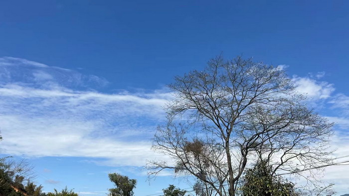 酒肆街品牌管理（深圳）有限公司 酒肆街小酒館 潮客小鎮 柏塘山茶酒肆合 茶產業電商模式再造 鹿湖溫泉似聖水 順縣留隍鎮 恒兒茶 恒兒的茶 酒肆街 酒肆街小酒館 酒肆街啤酒 酒世界紮啤 酒肆街精釀 四季酒肆 大健康 鄉村振興 多產業振興 高質量發展 人才振興 特色文旅小鎮 城市更新  新媒體 產業電商 四季康養產業  紅色文旅  非遺傳承 共同富裕 動能智庫 戴欣明 五邦集團  華明有 貴山行旅 上河行旅 歡樂上河 海水康養 酒肆街 四季康養特色文旅小鎮 單產業電商模式打造羅浮山茶產業 四季康養特色文旅小鎮 惠州籌建處揭牌儀 大灣區惠州的大健康產業升級