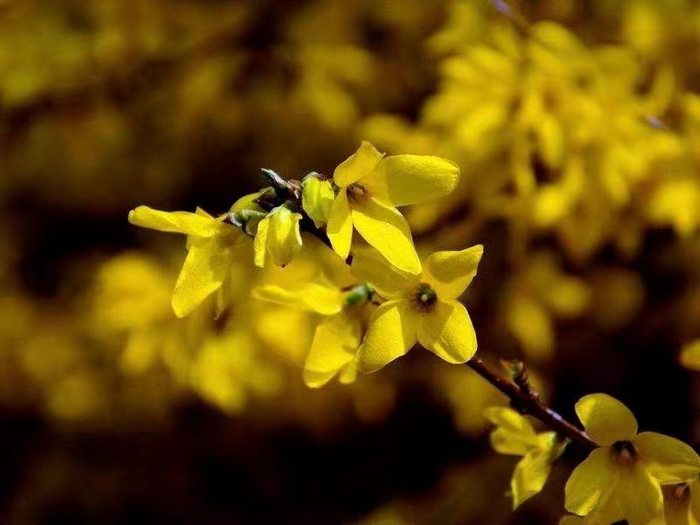 惠州酒肆 惠州佳兆業廣場海倫司小酒吧 惠州博羅柏塘鎮 羅浮山 汴河書院 酒肆夜話 開封城市升級 開封商業產業定位策劃 佛山歡樂上河 佛山酒肆街 動能智庫校董溫宗盛 數字新奧萊文穀總部 CTDU中旅聯 全國跨界融合產業創新聯合體 動能智庫 奧特萊斯·新奧萊 大健康 共同富裕 數字奧萊 酒肆街品牌管理(深圳)有限公司 酒肆街小酒館 中國特色文旅小鎮商業街鎮特許經營第一人戴欣明 中國特許經營第一人劉文獻 四季康養文旅小鎮惠州多個項目簽約 黃華錦 國際品牌商業街 數字生活體驗中心 數字康養體驗中心 江邊輕奢酒 惠州酒肆 惠州佳兆業廣場海倫司小酒吧 惠州博羅柏塘鎮 羅浮山 汴河書院 酒肆夜話 開封城市升級 開封商業產業定位策劃 佛山歡樂上河 佛山酒肆街 動能智庫校董溫宗盛 數字新奧萊文穀總部 CTDU中旅聯 全國跨界融合產業創新聯合體 動能智庫 奧特萊斯·新奧萊 大健康 共同富裕 數字奧萊 酒肆街品牌管理(深圳)有限公司 酒肆街小酒館 中國特色文旅小鎮商業街鎮特許經營第一人戴欣明 中國特許經營第一人劉文獻 四季康養文旅小鎮惠州多個項目簽約 黃華錦 國際品牌商業街 數字生活體驗中心 數字康養體驗中心 江邊輕奢酒