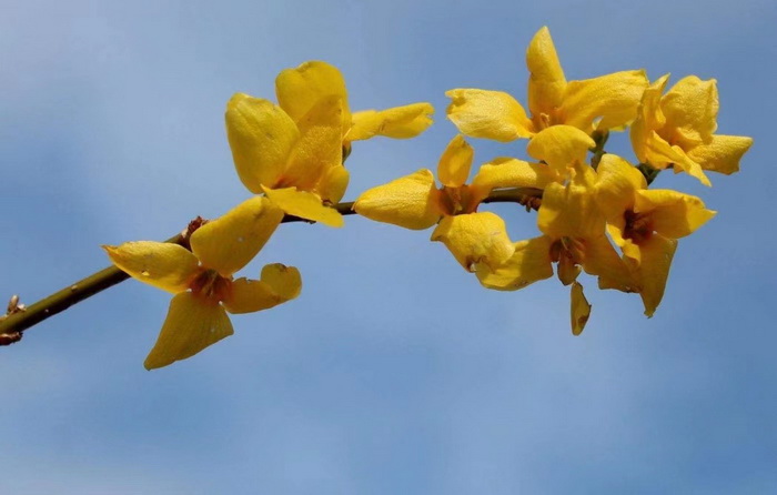 惠州酒肆 惠州佳兆業廣場海倫司小酒吧 惠州博羅柏塘鎮 羅浮山 汴河書院 酒肆夜話 開封城市升級 開封商業產業定位策劃 佛山歡樂上河 佛山酒肆街 動能智庫校董溫宗盛 數字新奧萊文穀總部 CTDU中旅聯 全國跨界融合產業創新聯合體 動能智庫 奧特萊斯·新奧萊 大健康 共同富裕 數字奧萊 酒肆街品牌管理(深圳)有限公司 酒肆街小酒館 中國特色文旅小鎮商業街鎮特許經營第一人戴欣明 中國特許經營第一人劉文獻 四季康養文旅小鎮惠州多個項目簽約 黃華錦 國際品牌商業街 數字生活體驗中心 數字康養體驗中心 江邊輕奢酒 惠州酒肆 惠州佳兆業廣場海倫司小酒吧 惠州博羅柏塘鎮 羅浮山 汴河書院 酒肆夜話 開封城市升級 開封商業產業定位策劃 佛山歡樂上河 佛山酒肆街 動能智庫校董溫宗盛 數字新奧萊文穀總部 CTDU中旅聯 全國跨界融合產業創新聯合體 動能智庫 奧特萊斯·新奧萊 大健康 共同富裕 數字奧萊 酒肆街品牌管理(深圳)有限公司 酒肆街小酒館 中國特色文旅小鎮商業街鎮特許經營第一人戴欣明 中國特許經營第一人劉文獻 四季康養文旅小鎮惠州多個項目簽約 黃華錦 國際品牌商業街 數字生活體驗中心 數字康養體驗中心 江邊輕奢酒