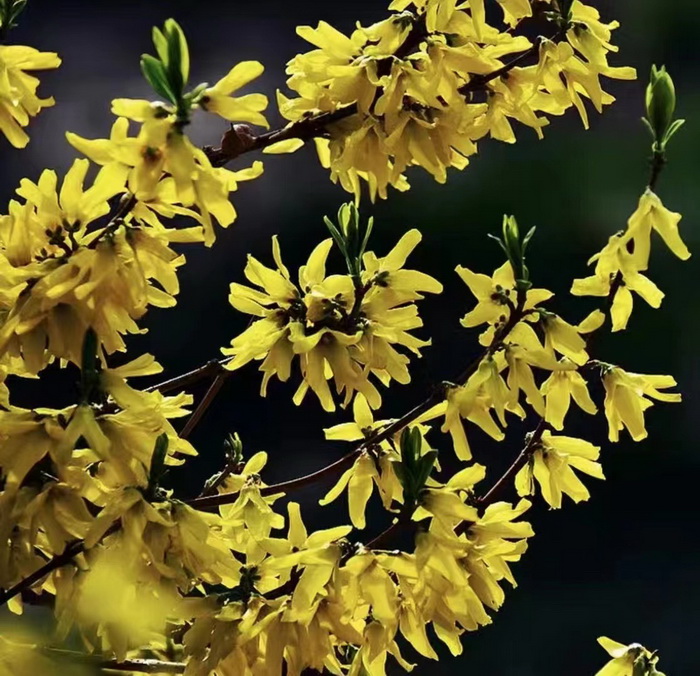 惠州酒肆 惠州佳兆業廣場海倫司小酒吧 惠州博羅柏塘鎮 羅浮山 汴河書院 酒肆夜話 開封城市升級 開封商業產業定位策劃 佛山歡樂上河 佛山酒肆街 動能智庫校董溫宗盛 數字新奧萊文穀總部 CTDU中旅聯 全國跨界融合產業創新聯合體 動能智庫 奧特萊斯·新奧萊 大健康 共同富裕 數字奧萊 酒肆街品牌管理(深圳)有限公司 酒肆街小酒館 中國特色文旅小鎮商業街鎮特許經營第一人戴欣明 中國特許經營第一人劉文獻 四季康養文旅小鎮惠州多個項目簽約 黃華錦 國際品牌商業街 數字生活體驗中心 數字康養體驗中心 江邊輕奢酒 惠州酒肆 惠州佳兆業廣場海倫司小酒吧 惠州博羅柏塘鎮 羅浮山 汴河書院 酒肆夜話 開封城市升級 開封商業產業定位策劃 佛山歡樂上河 佛山酒肆街 動能智庫校董溫宗盛 數字新奧萊文穀總部 CTDU中旅聯 全國跨界融合產業創新聯合體 動能智庫 奧特萊斯·新奧萊 大健康 共同富裕 數字奧萊 酒肆街品牌管理(深圳)有限公司 酒肆街小酒館 中國特色文旅小鎮商業街鎮特許經營第一人戴欣明 中國特許經營第一人劉文獻 四季康養文旅小鎮惠州多個項目簽約 黃華錦 國際品牌商業街 數字生活體驗中心 數字康養體驗中心 江邊輕奢酒