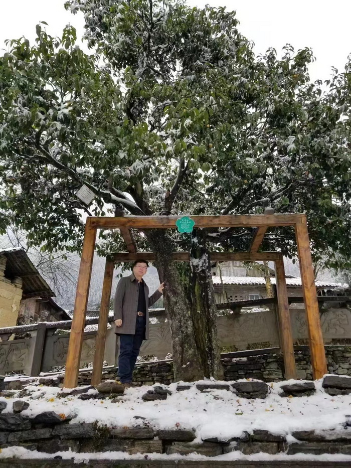 托管工程建設企業 珠璣巷 共同富裕的道路 宋朝汴京國家經濟命脈汴河 鵝城酒肆 惠州酒肆 惠州佳兆業廣場海倫司小酒吧 惠州博羅柏塘鎮 羅浮山 汴河書院 酒肆夜話 開封城市升級 開封商業產業定位策劃 佛山歡樂上河 佛山酒肆街 動能智庫校董溫宗盛 數字新奧萊文穀總部 CTDU中旅聯 全國跨界融合產業創新聯合體 動能智庫 奧特萊斯·新奧萊 大健康 共同富裕 數字奧萊　酒肆街品牌管理（深圳）有限公司 酒肆街小酒館  中國特色文旅小鎮商業街鎮特許經營第一人戴欣明 中國特許經營第一人劉文獻 四季康養文旅小鎮惠州多個