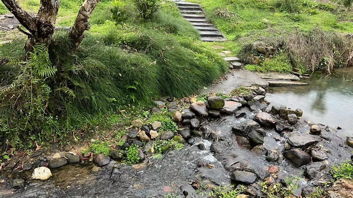 柏塘山茶酒肆合 茶產業電商模式再造 鹿湖溫泉似聖水 順縣留隍鎮 恒兒茶 恒兒的茶 酒肆街 酒肆街小酒館 酒肆街啤酒 酒世界紮啤 酒肆街精釀 四季酒肆 大健康 鄉村振興 多產業振興 高質量發展 人才振興 特色文旅小鎮 城市更新  新媒體 產業電商 四季康養產業  紅色文旅  非遺傳承 共同富裕 動能智庫 戴欣明 五邦集團  華明有 貴山行旅 上河行旅 歡樂上河 海水康養 酒肆街 四季康養特色文旅小鎮 單產業電商模式打造羅浮山茶產業 四季康養特色文旅小鎮 惠州籌建處揭牌儀 大灣區惠州的大健康產業升級  戴欣疫