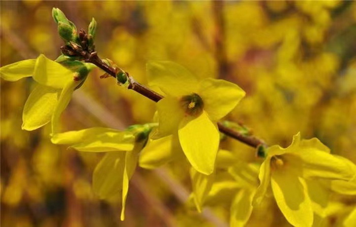 酒肆濁酒鼓樂席 柏塘山茶酒肆合 茶產業電商模式再造 惠州柏塘拾裏茶香品龍頭壹號 鹿湖溫泉似聖水 順縣留隍鎮 恒兒茶 恒兒的茶 酒肆街 酒肆街小酒館 酒肆街啤酒 酒世界紮啤 酒肆街精釀 四季酒肆 大健康 鄉村振興 多產業振興 高質量發展 人才振興 特色文旅小鎮 城市更新  新媒體 產業電商 四季康養產業  紅色文旅  非遺傳承 共同富裕 動能智庫 戴欣明 五邦集團  華明有 貴山行旅 上河行旅 歡樂上河 海水康養 酒肆街 四季康養特色文旅小鎮 單產業電商模式打造羅浮山茶產業 四季康養特色文旅小鎮 惠州籌建處
