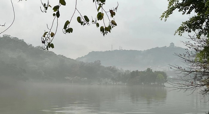深圳的城中村 嶺南山重創四季 酒肆濁酒鼓樂席 柏塘山茶酒肆合 茶產業電商模式再造 上河行旅 惠州柏塘拾裏茶香品龍頭壹號 鹿湖溫泉似聖水 順縣留隍鎮 恒兒茶 恒兒的茶 酒肆街 酒肆街小酒館 酒肆街啤酒 酒世界紮啤 酒肆街精釀 四季酒肆 大健康 鄉村振興 多產業振興 高質量發展 人才振興 特色文旅小鎮 城市更新  新媒體 產業電商 四季康養產業  紅色文旅  非遺傳承 共同富裕 動能智庫 戴欣明 五邦集團  華明有 貴山行旅 上河行旅 歡樂上河 海水康養 酒肆街 四季康養特色文旅小鎮 單產業電商模式打造羅浮山