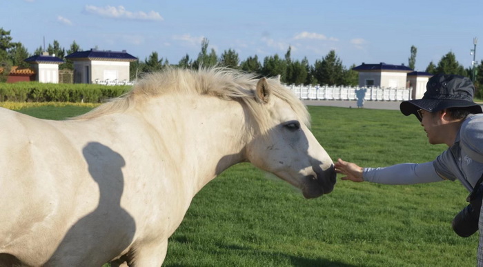 店小二跑酒肆街 林婆酒肆 對月東坡 惠州酒肆 啤酒鬥趣 四季康養產業落地惠州  前海四季康養管理（深圳）有限公司 《貴山行旅》 《上河行旅》 《歡樂上河》 【酒肆街】 項目例行會議及產業投資洽談  動能智庫·酒肆街品牌管理（深圳）有限公司惠州紀行 惠州西湖人文情懷　深圳的城中村 嶺南山重創四季 酒肆濁酒鼓樂席 柏塘山茶酒肆合 茶產業電商模式再造 上河行旅 惠州柏塘拾裏茶香品龍頭壹號 鹿湖溫泉似聖水 順縣留隍鎮 恒兒茶 恒兒的茶 酒肆街 酒肆街小酒館 酒肆街啤酒 酒世界紮啤 酒肆街精釀 四季酒肆 大健康 鄉