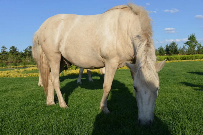 店小二跑酒肆街 林婆酒肆 對月東坡 惠州酒肆 啤酒鬥趣 四季康養產業落地惠州  前海四季康養管理（深圳）有限公司 《貴山行旅》 《上河行旅》 《歡樂上河》 【酒肆街】 項目例行會議及產業投資洽談  動能智庫·酒肆街品牌管理（深圳）有限公司惠州紀行 惠州西湖人文情懷　深圳的城中村 嶺南山重創四季 酒肆濁酒鼓樂席 柏塘山茶酒肆合 茶產業電商模式再造 上河行旅 惠州柏塘拾裏茶香品龍頭壹號 鹿湖溫泉似聖水 順縣留隍鎮 恒兒茶 恒兒的茶 酒肆街 酒肆街小酒館 酒肆街啤酒 酒世界紮啤 酒肆街精釀 四季酒肆 大健康 鄉