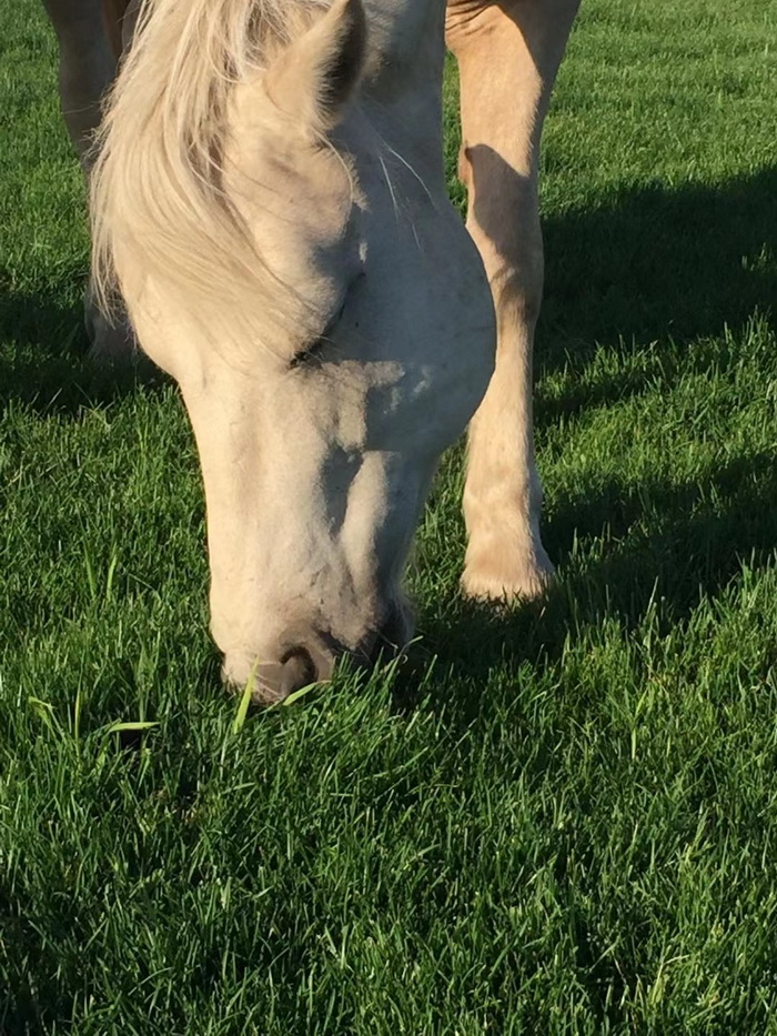 店小二跑酒肆街 林婆酒肆 對月東坡 惠州酒肆 啤酒鬥趣 四季康養產業落地惠州  前海四季康養管理（深圳）有限公司 《貴山行旅》 《上河行旅》 《歡樂上河》 【酒肆街】 項目例行會議及產業投資洽談  動能智庫·酒肆街品牌管理（深圳）有限公司惠州紀行 惠州西湖人文情懷　深圳的城中村 嶺南山重創四季 酒肆濁酒鼓樂席 柏塘山茶酒肆合 茶產業電商模式再造 上河行旅 惠州柏塘拾裏茶香品龍頭壹號 鹿湖溫泉似聖水 順縣留隍鎮 恒兒茶 恒兒的茶 酒肆街 酒肆街小酒館 酒肆街啤酒 酒世界紮啤 酒肆街精釀 四季酒肆 大健康 鄉