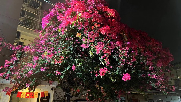 蘇東坡祝枝山在惠州的遺跡 動能智庫·酒肆街品牌管理（深圳）有限公司惠州紀行 惠州西湖人文情懷　深圳的城中村 嶺南山重創四季 酒肆濁酒鼓樂席 柏塘山茶酒肆合 茶產業電商模式再造 上河行旅 惠州柏塘拾裏茶香品龍頭壹號 鹿湖溫泉似聖水 順縣留隍鎮 恒兒茶 恒兒的茶 酒肆街 酒肆街小酒館 酒肆街啤酒 酒世界紮啤 酒肆街精釀 四季酒肆 大健康 鄉村振興 多產業振興 高質量發展 人才振興 特色文旅小鎮 城市更新  新媒體 產業電商 四季康養產業  紅色文旅  非遺傳承 共同富裕 動能智庫 戴欣明 五邦集團  華明有