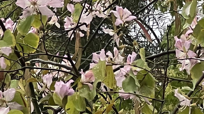 微醺經濟 上河坊酒肆街店 海水康養 東街草市 酒肆街，酒肆街小酒館定位 年輕人的社交圈 深圳酒肆街鎮  汴河書院 酒肆街·深圳簽約儀式 【酒肆街】團隊簽約羅湖水貝珠寶大廈 歡樂上河之【酒肆街】 酒肆深圳旗艦 紅色文旅小鎮 四季康養 鄉村振興 酒肆街 茶肆街 新媒體 文旅產業汕尾紅海灣 地產圓桌派 全球酒吧源酒肆 酒肆街小酒館 久康元酒 本草精釀 百師醫穀 四季康養落地重慶南川區 茶肆街 冷沙泉水乾豐茶 高山雲霧 永隆山麓上河來 冷沙泉水 南川乾豐鎮茶產業升級 前海四季康養管理（深圳）有限公司南川紀行 前海