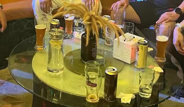 東街草市 酒肆街，酒肆街小酒館定位 年輕人的社交圈 深圳酒肆街鎮  汴河書院 酒肆街·深圳簽約儀式 【酒肆街】團隊簽約羅湖水貝珠寶大廈 歡樂上河之【酒肆街】 酒肆深圳旗艦 紅色文旅小鎮 四季康養 鄉村振興 酒肆街 茶肆街 新媒體 文旅產業汕尾紅海灣 地產圓桌派 全球酒吧源酒肆 酒肆街小酒館 久康元酒 本草精釀 百師醫穀 四季康養落地重慶南川區 茶肆街 冷沙泉水乾豐茶 高山雲霧 永隆山麓上河來 冷沙泉水 南川乾豐鎮茶產業升級 前海四季康養管理（深圳）有限公司南川紀行 前海四季康養管理（深圳）有限公司總經理戴