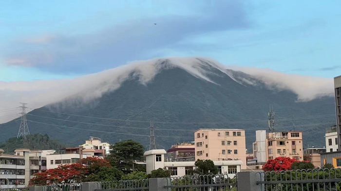東街草市 酒肆街，酒肆街小酒館定位 年輕人的社交圈 深圳酒肆街鎮  汴河書院 酒肆街·深圳簽約儀式 【酒肆街】團隊簽約羅湖水貝珠寶大廈 歡樂上河之【酒肆街】 酒肆深圳旗艦 紅色文旅小鎮 四季康養 鄉村振興 酒肆街 茶肆街 新媒體 文旅產業汕尾紅海灣 地產圓桌派 全球酒吧源酒肆 酒肆街小酒館 久康元酒 本草精釀 百師醫穀 四季康養落地重慶南川區 茶肆街 冷沙泉水乾豐茶 高山雲霧 永隆山麓上河來 冷沙泉水 南川乾豐鎮茶產業升級 前海四季康養管理（深圳）有限公司南川紀行 前海四季康養管理（深圳）有限公司總經理戴