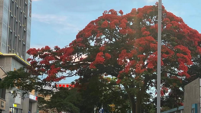 東街草市 酒肆街，酒肆街小酒館定位 年輕人的社交圈 深圳酒肆街鎮  汴河書院 酒肆街·深圳簽約儀式 【酒肆街】團隊簽約羅湖水貝珠寶大廈 歡樂上河之【酒肆街】 酒肆深圳旗艦 紅色文旅小鎮 四季康養 鄉村振興 酒肆街 茶肆街 新媒體 文旅產業汕尾紅海灣 地產圓桌派 全球酒吧源酒肆 酒肆街小酒館 久康元酒 本草精釀 百師醫穀 四季康養落地重慶南川區 茶肆街 冷沙泉水乾豐茶 高山雲霧 永隆山麓上河來 冷沙泉水 南川乾豐鎮茶產業升級 前海四季康養管理（深圳）有限公司南川紀行 前海四季康養管理（深圳）有限公司總經理戴